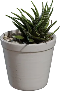 Potted Plant 04