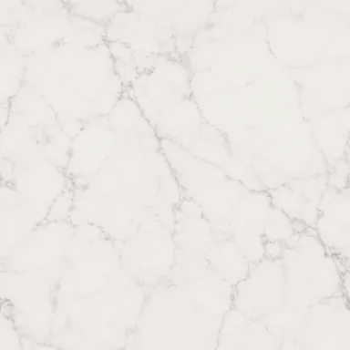 Fine white veined stone